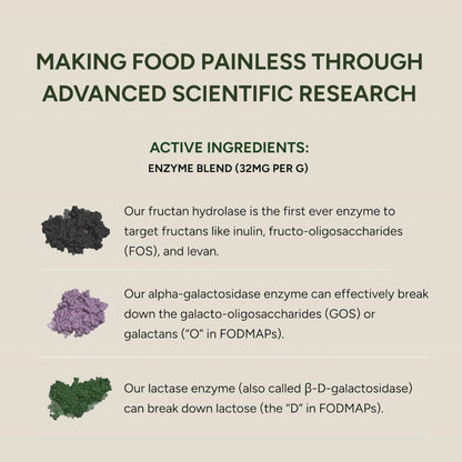 Fodzyme Digestive Enzymes for Gut Health Low FODMAP